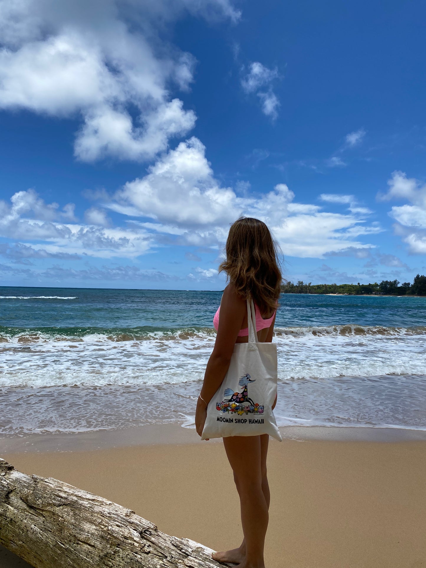 Moomin Shop Hawaii Totes