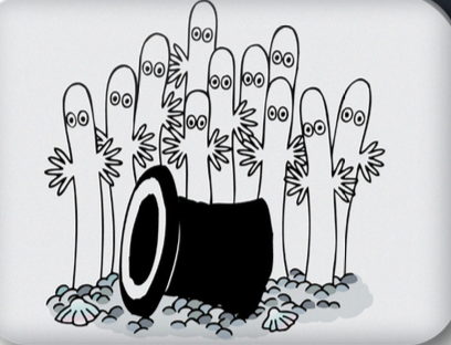 Moomin Shop Hawaii Magnets